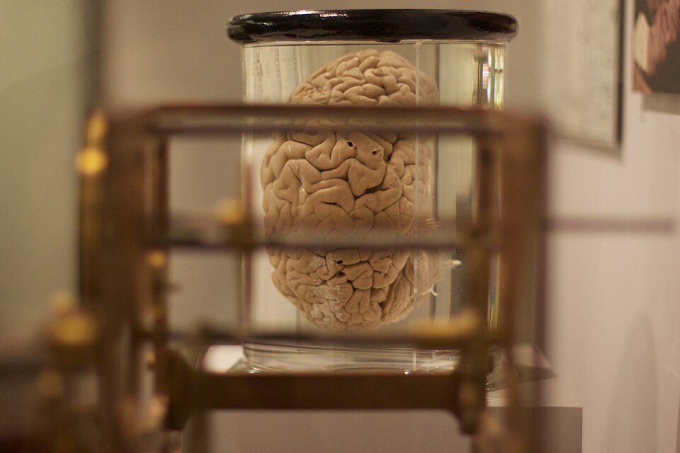 Bikepunk logo, for decorative reason